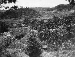 Okinawa History Photo