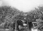 Okinawa History Photo