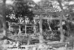 Okinawa History Photo