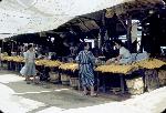 Okinawa History Photo