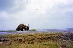 Okinawa History Photo