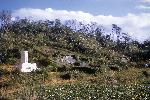 Okinawa History Photo