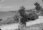 Okinawa History Photo