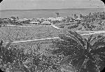 Okinawa History Photo