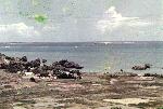 Okinawa History Photo