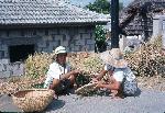 Okinawa History Photo