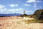 Okinawa History Photo