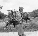 Okinawa History Photo