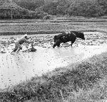 Okinawa History Photo