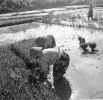 Okinawa History Photo