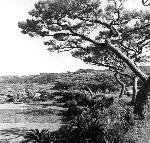 Okinawa History Photo