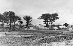 Okinawa History Photo