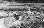 Okinawa History Photo