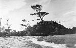 Okinawa History Photo