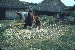 Okinawa History Photo