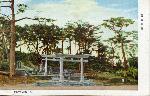 Okinawa History Photo