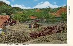 Okinawa History Photo