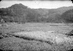 Okinawa History Photo