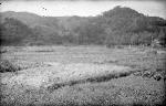 Okinawa History Photo