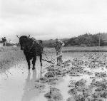 Okinawa History Photo