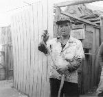 Okinawa History Photo