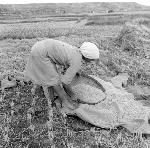 Okinawa History Photo