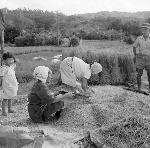 Okinawa History Photo