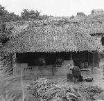 Okinawa History Photo