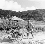 Okinawa History Photo