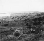 Okinawa History Photo