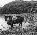 Okinawa History Photo