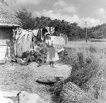 Okinawa History Photo