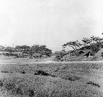 Okinawa History Photo