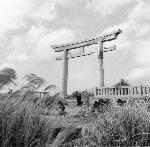 Okinawa History Photo